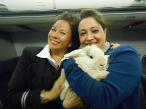 united airlines wins big points for their bunnum-friendly policies.  AND their incredibly bunnum-friendly flight attendants...