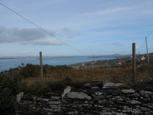 the view from our little corner of the island...