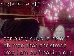 Unkuwl Bannon has wots of time on his hands...